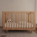 Cocoon Vibe Cot + Mattress Set