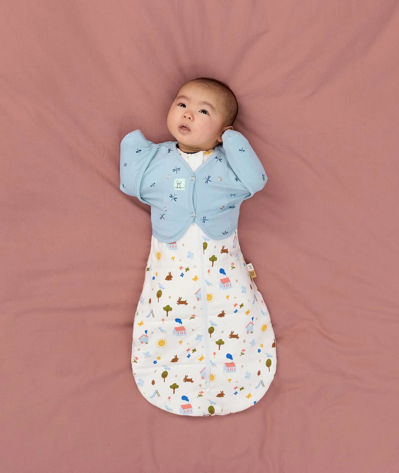 Cocoon Swaddle Bag 2.5 TOG Daydream