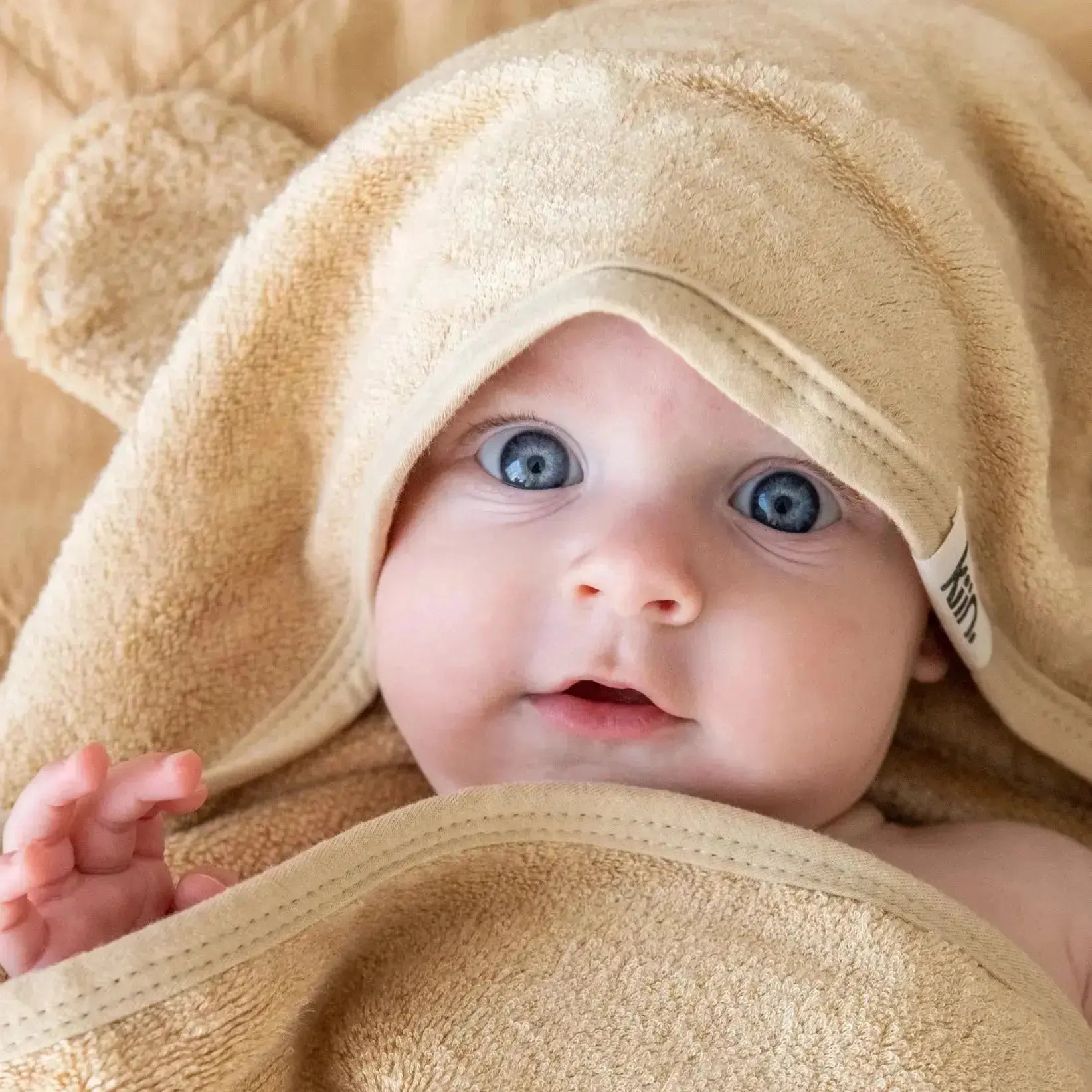 Kiin Baby Hooded Towel - Ivory  