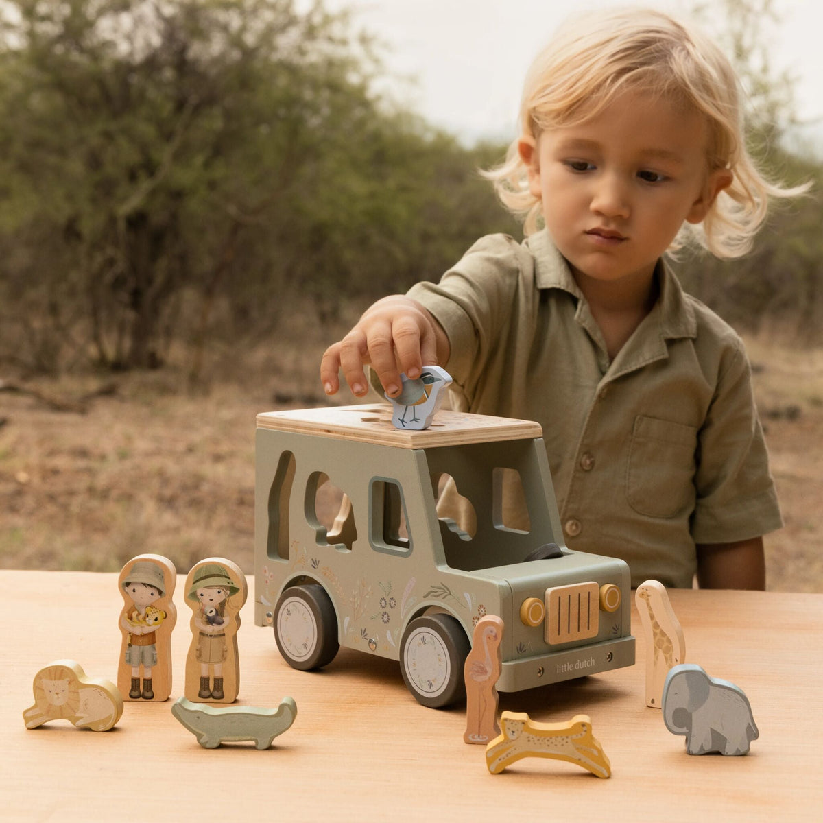 Shape sorter car animal blocks