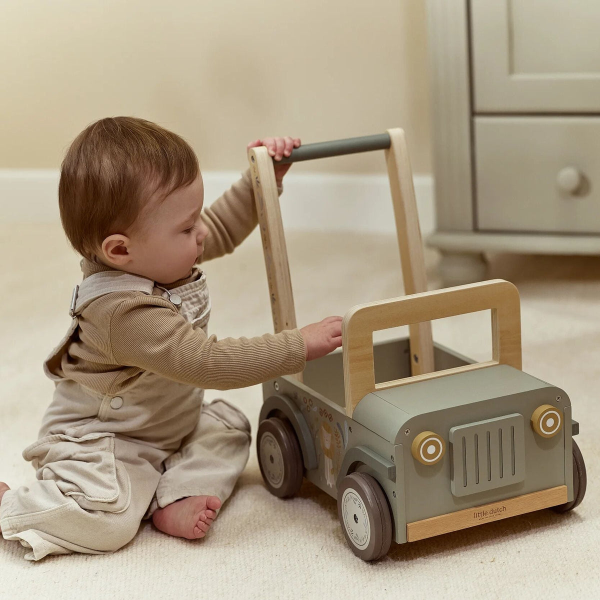 Push safari car side view