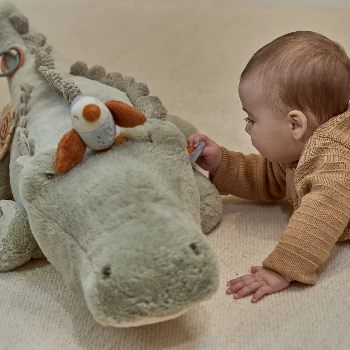 Activity Cuddle Crocodile textures