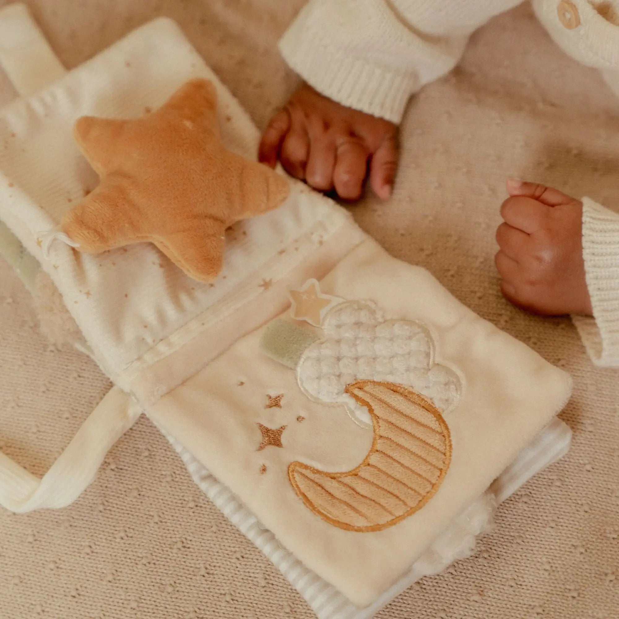 Little Goose Stroller Book