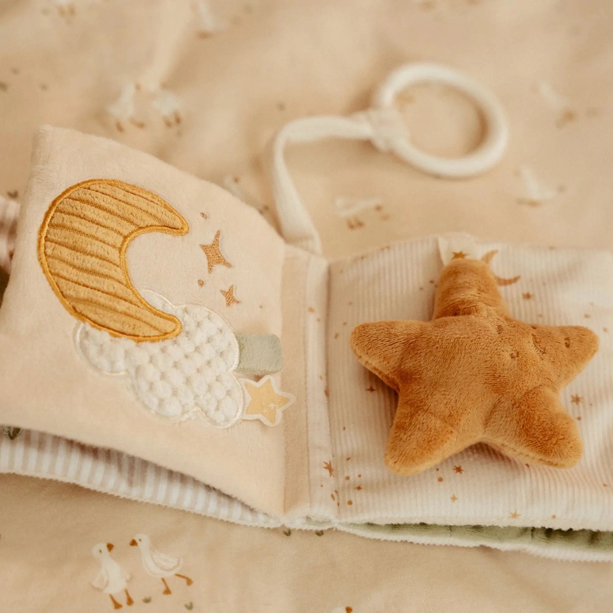 Little Goose Stroller Book