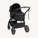 Maxi Cosi Mali Travel System