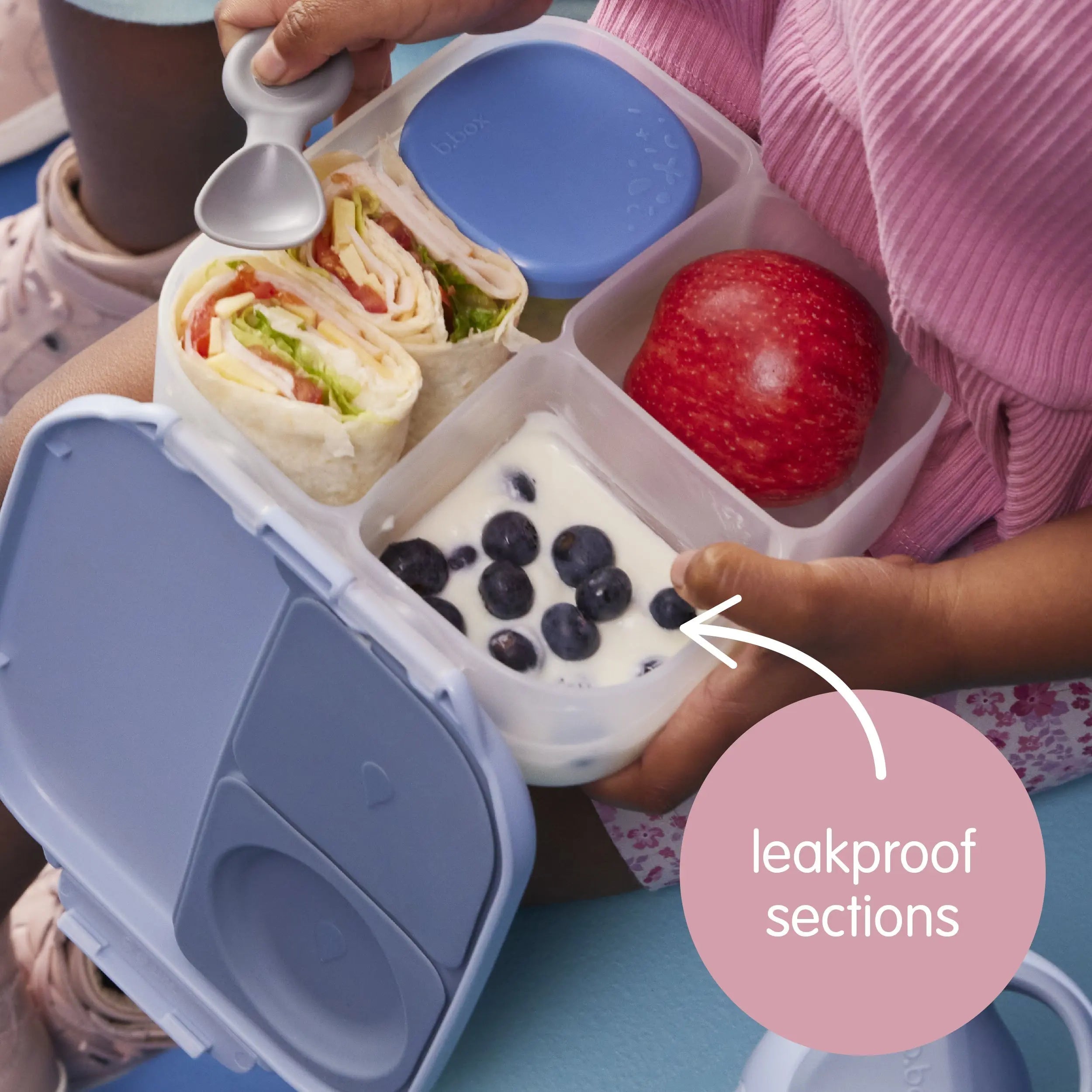 mini lunchbox - sugar plum