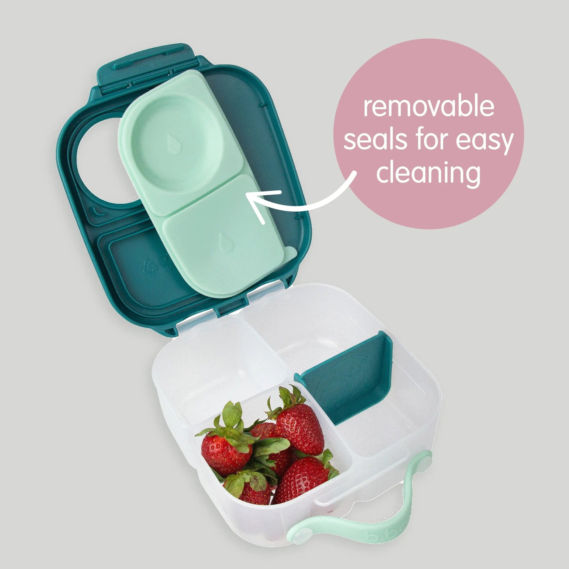 mini lunchbox - sugar plum