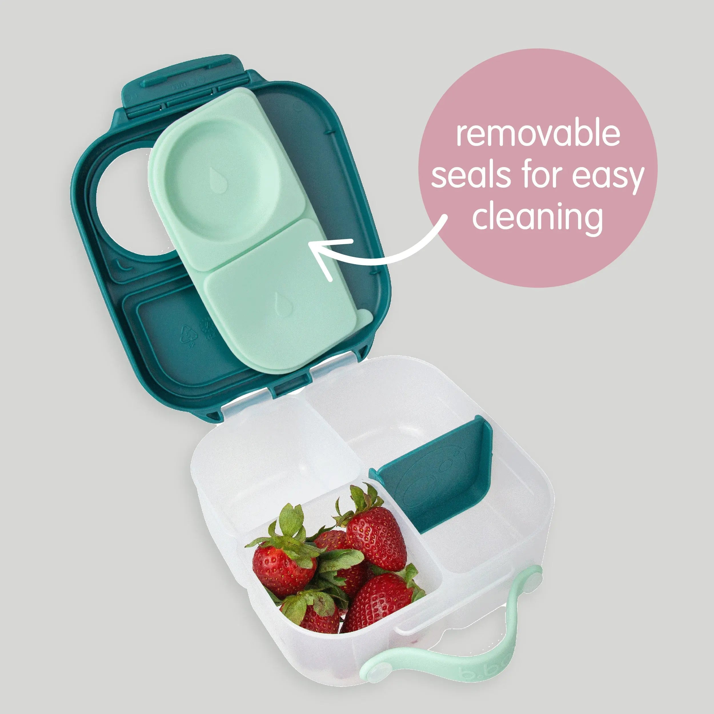 mini lunchbox - sugar plum
