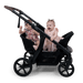 Neo Stroller