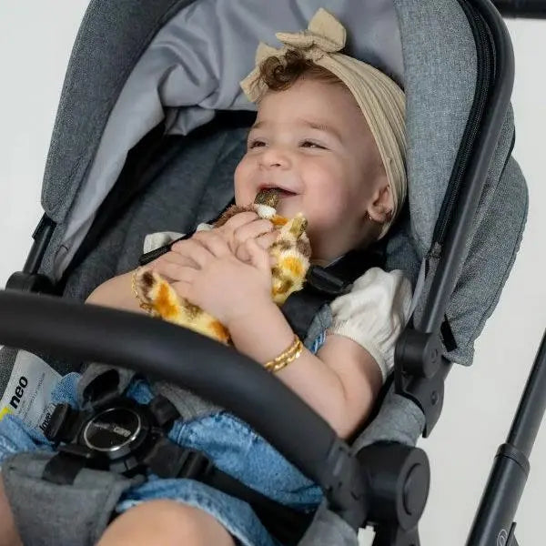 Neo Stroller