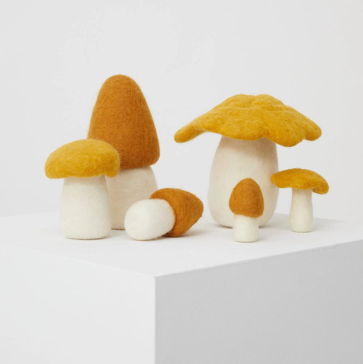 Phile Crate of Mushrooms felt wool play food set with six mushrooms in a crate