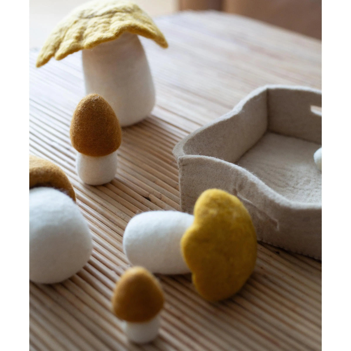 Six Phile felt wool mushrooms in different shapes and colours
