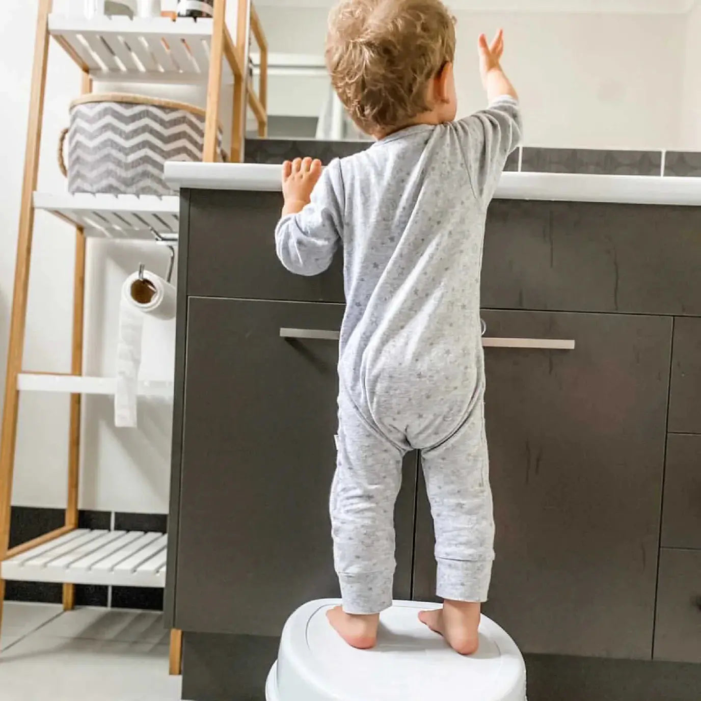 Roger Armstrong 4 in 1 Potty