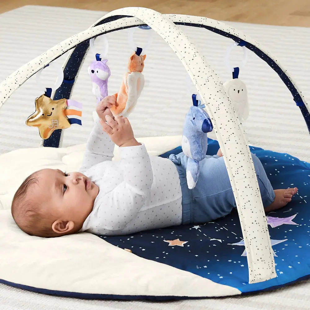 Skip Hop Celestial Dreams Activity Gym