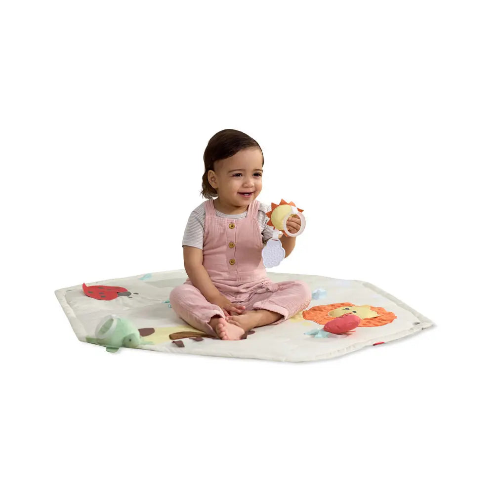 Skip Hop Geometric Wonders Activity Gym