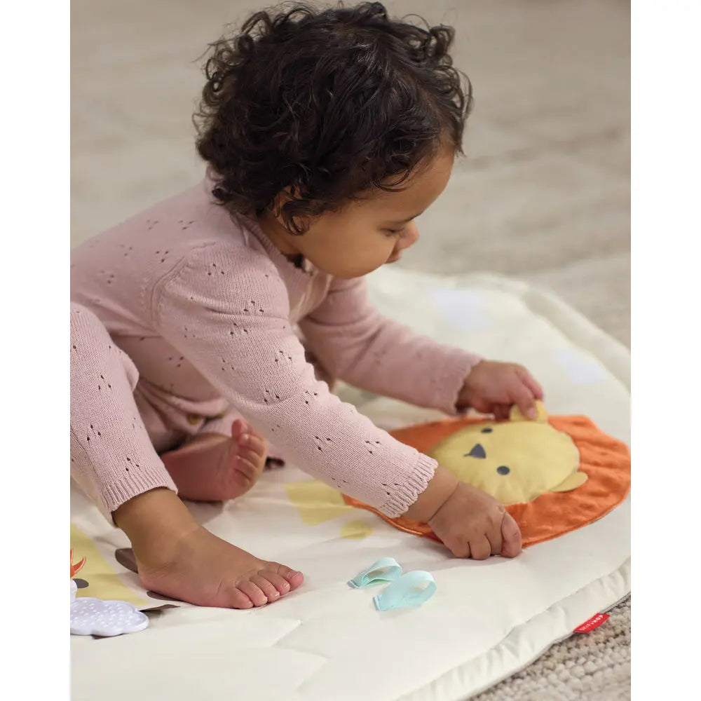 Skip Hop Geometric Wonders Activity Gym