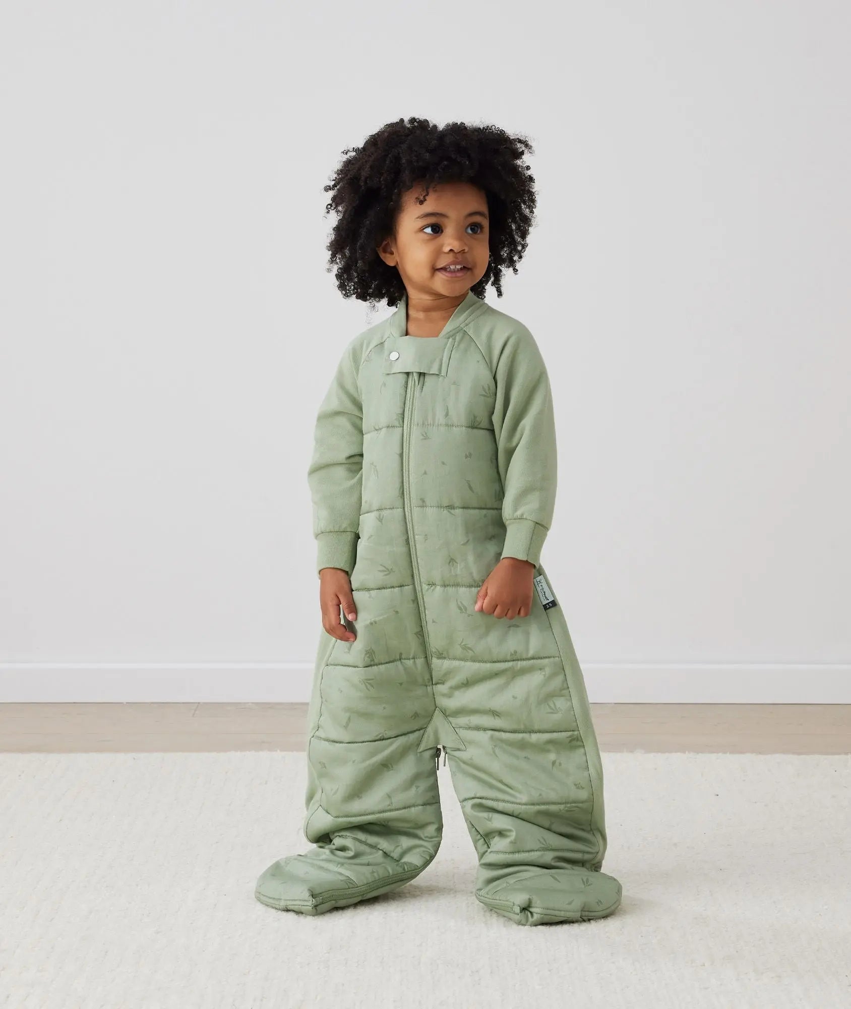 Sleep Suit Bag 2.5 TOG Willow
