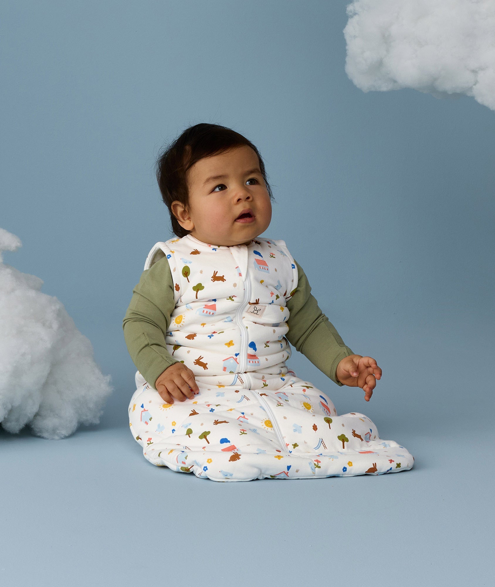 Sleeping Bag 2.5 TOG Daydream