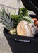 The Jiffle Wagon 6 in 1 Pram