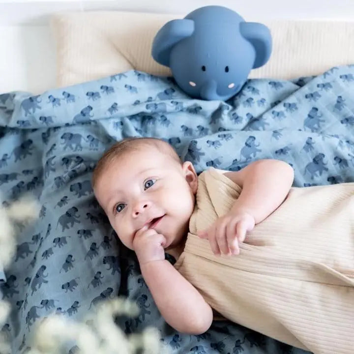 Trixie Night light - Mrs. Elephant