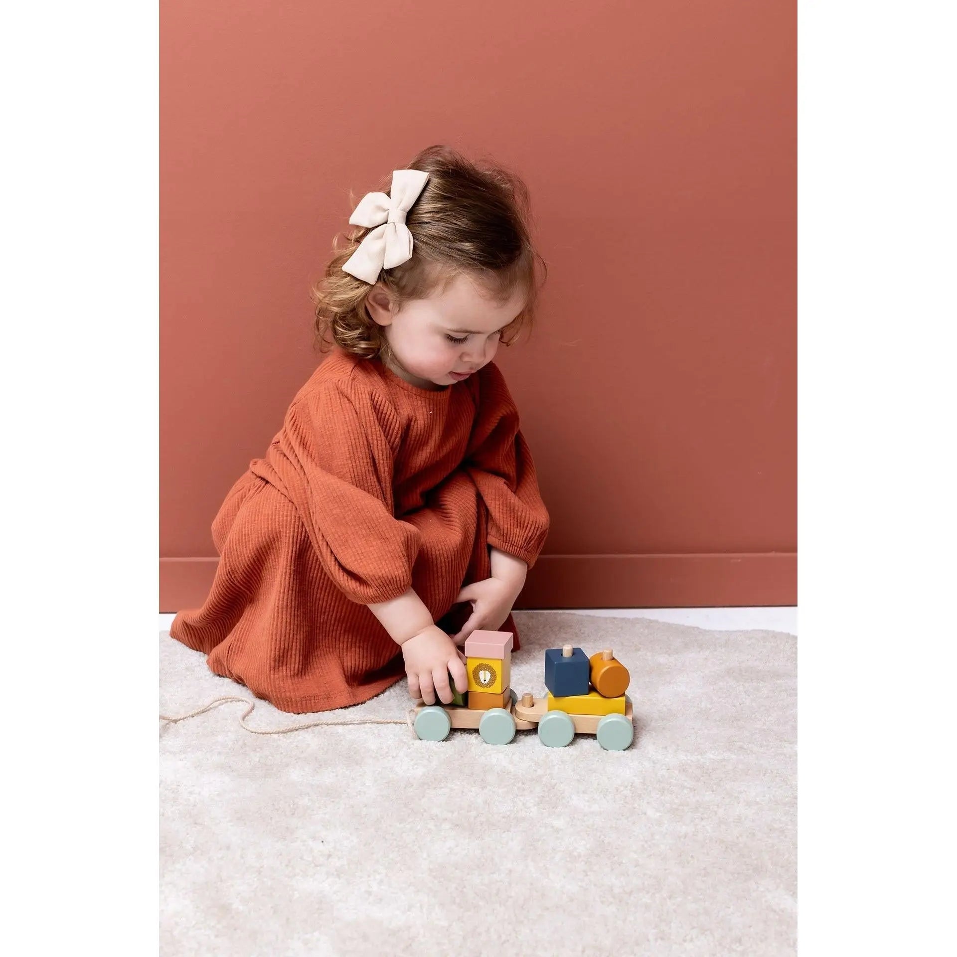 Trixie Mini Animal Train disassembled showing individual coloured stacking blocks