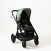 Valco Baby Ark + Joey Seat Bundle - Basil