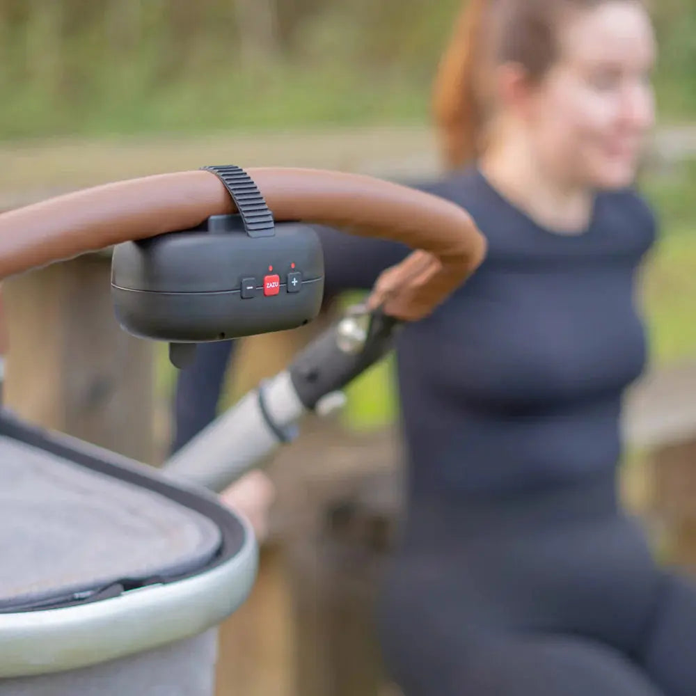 Zazu Baby Rocker Robby