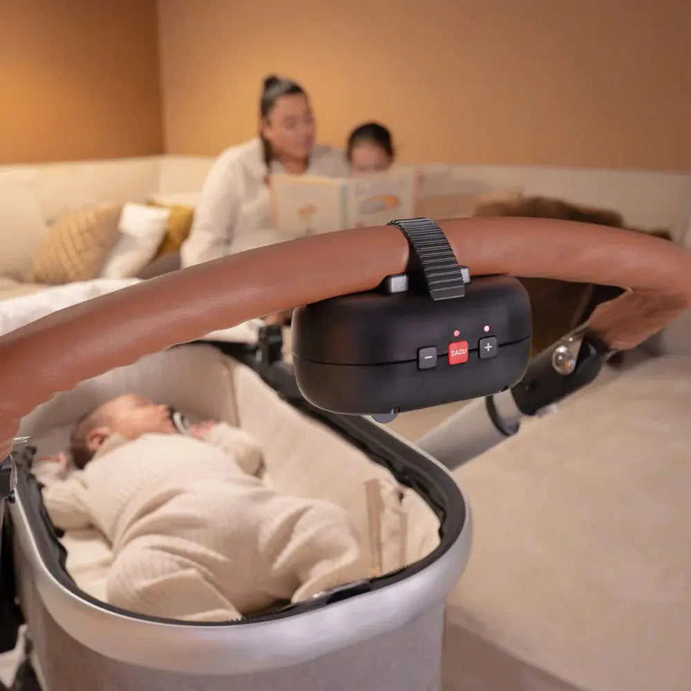 Zazu Baby Rocker Robby