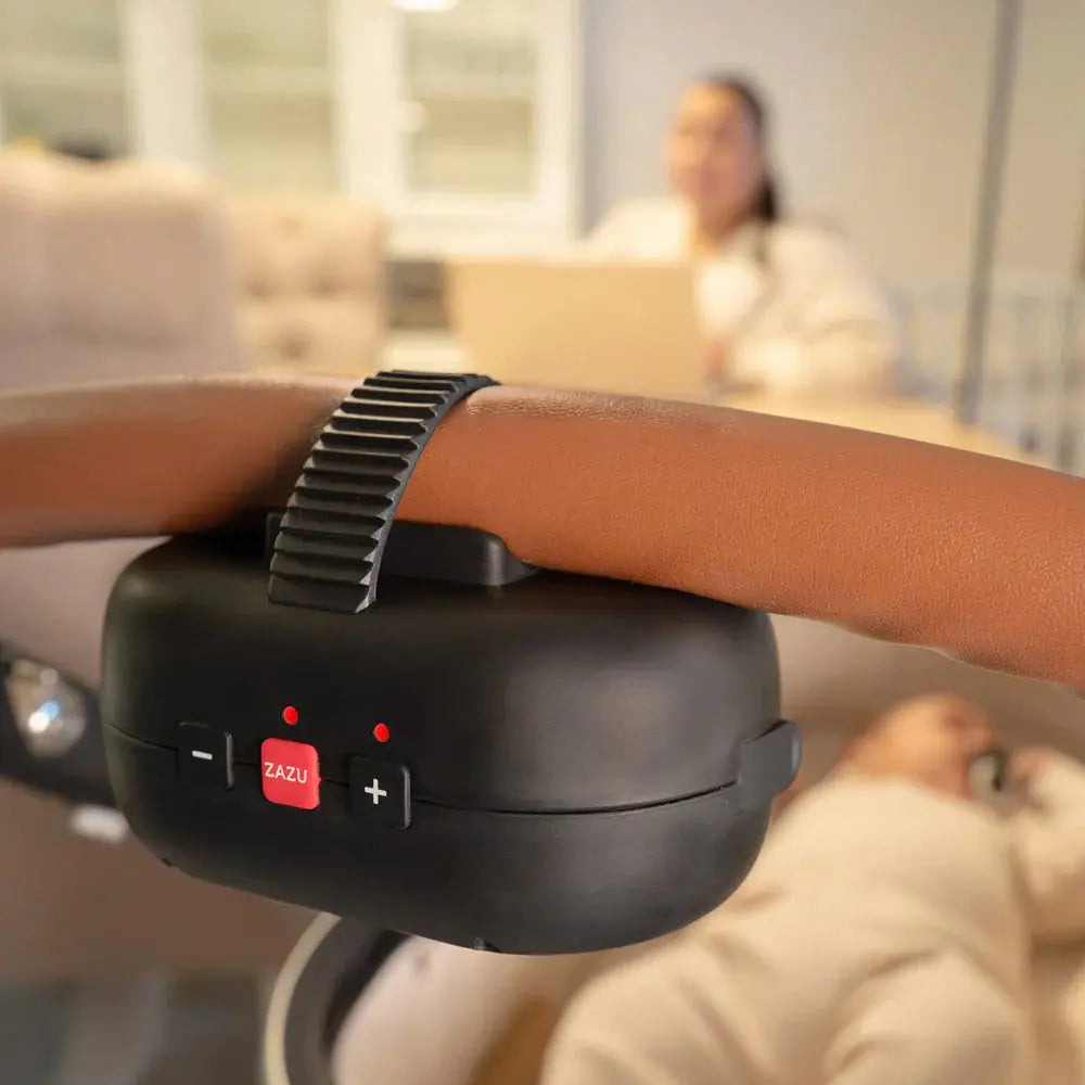 Zazu Baby Rocker Robby