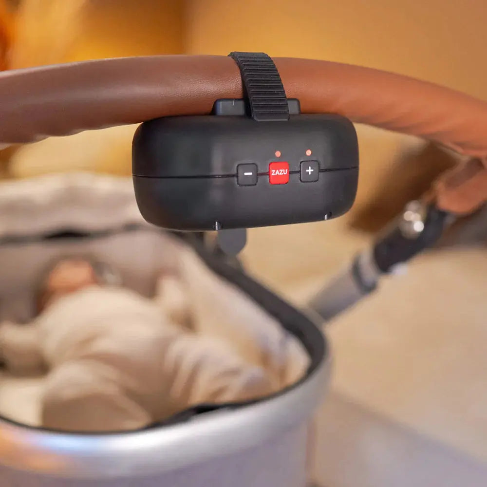 Zazu Baby Rocker Robby