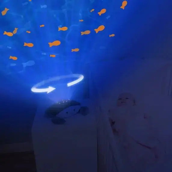 Zazu Cody Ocean projector