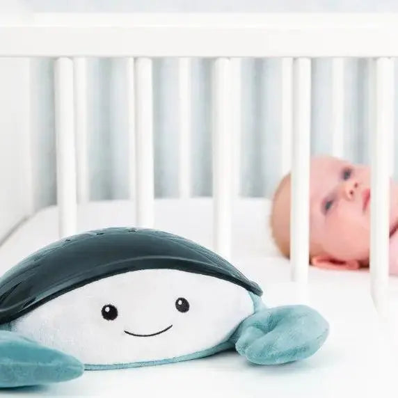 Zazu Cody Ocean projector