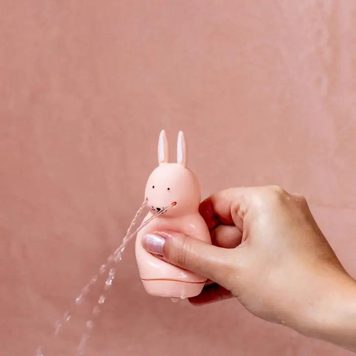 Bath toy squeezy animals - Mrs.  Rabbit & Mr. Fox