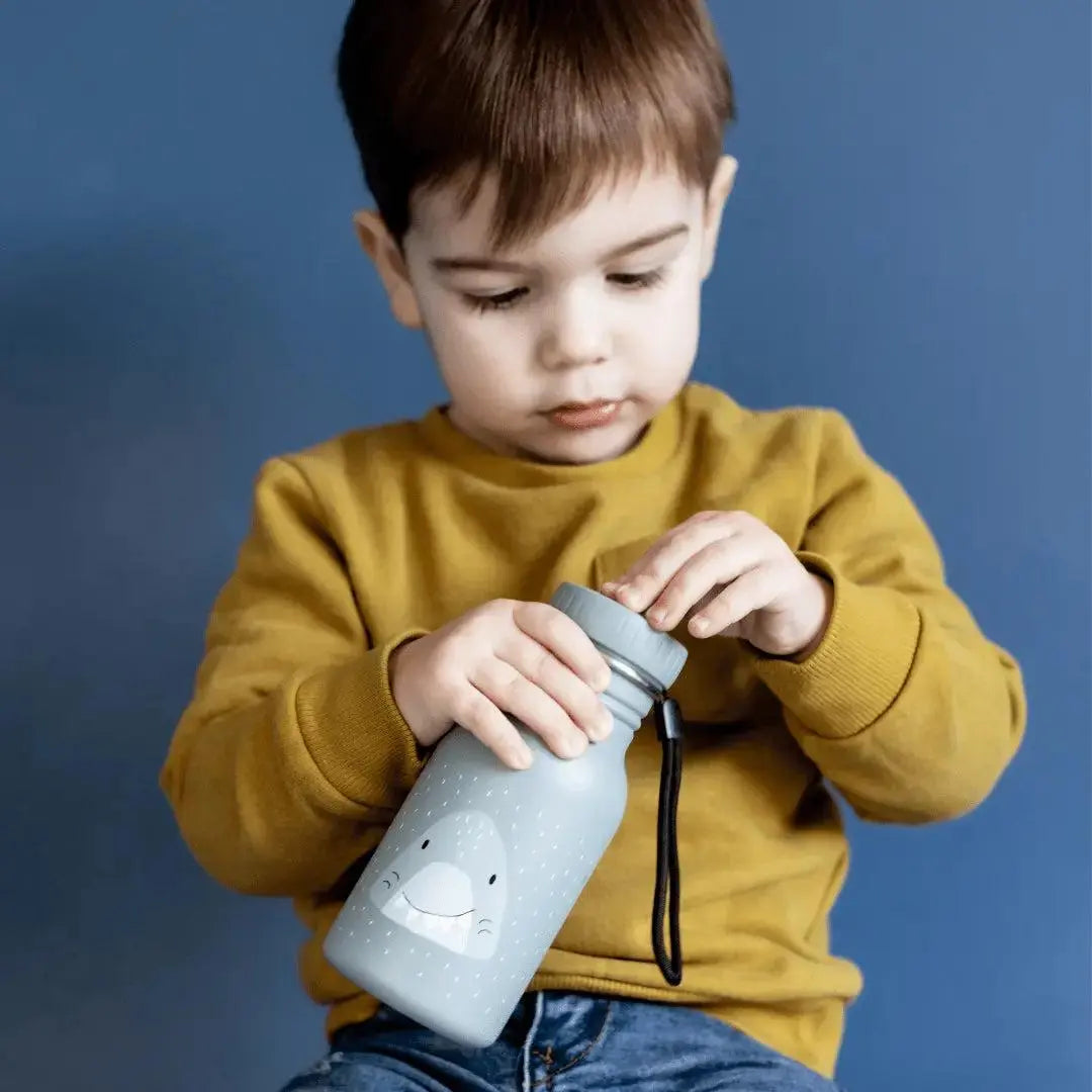 Bottle 350ml - Mr. Dino