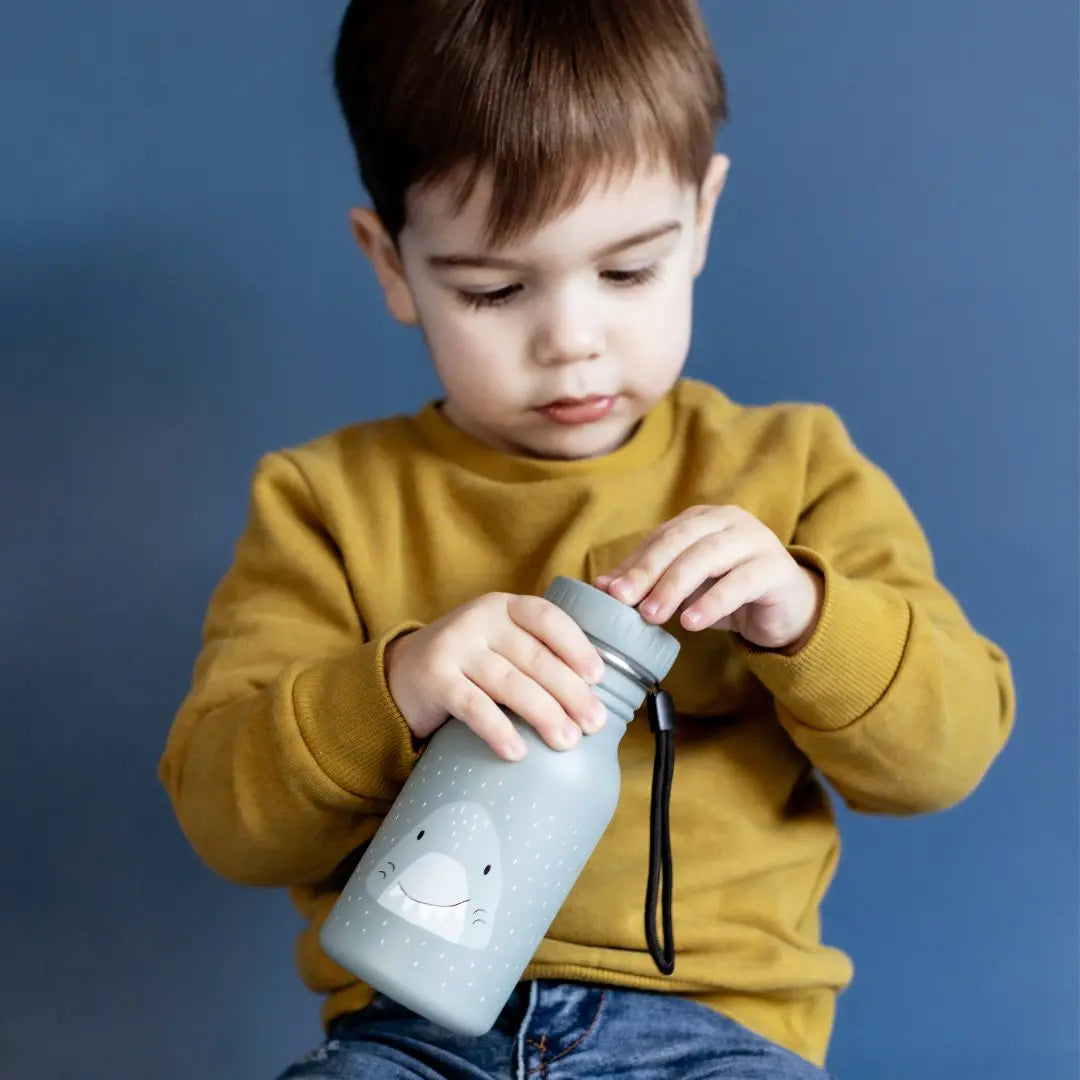 Bottle 350ml - Mr. Lion