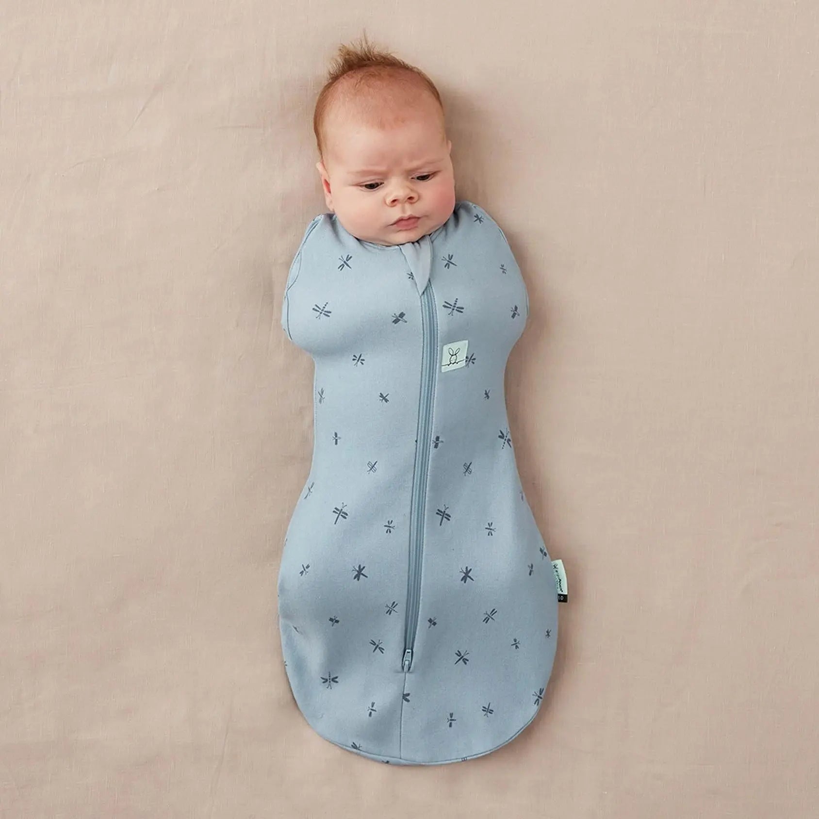 Cocoon Swaddle Bag 1.0 TOG Dragonflies