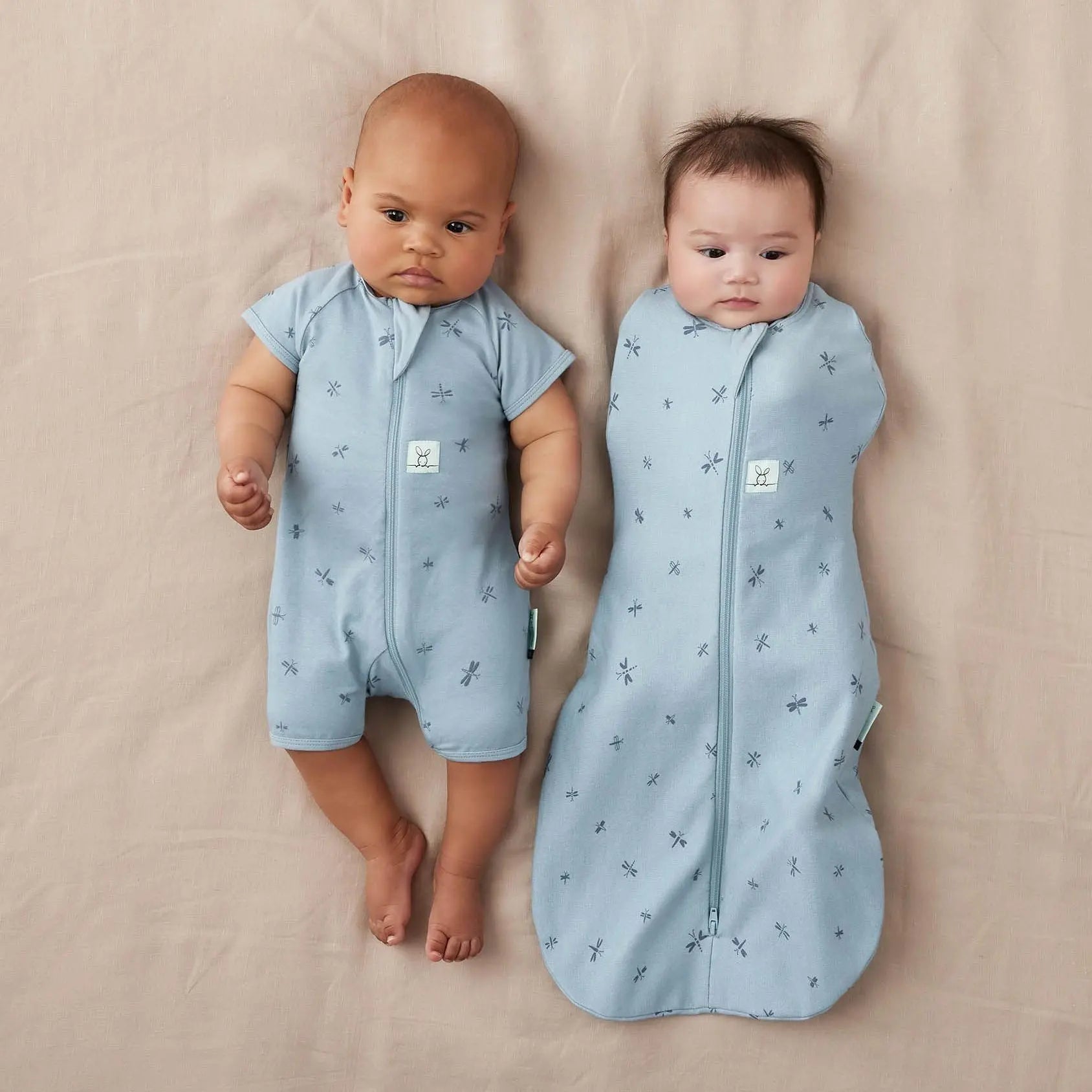 Cocoon Swaddle Bag 1.0 TOG Dragonflies