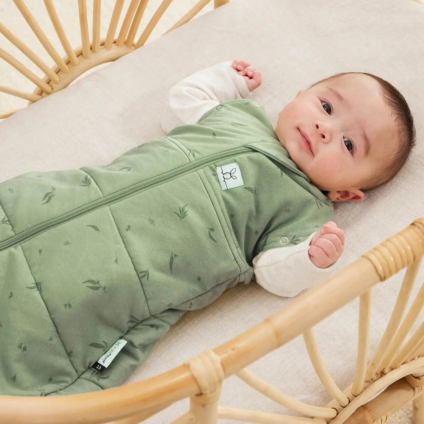 ergoPouch Cocoon Swaddle Bag 2.5 TOG - Willow