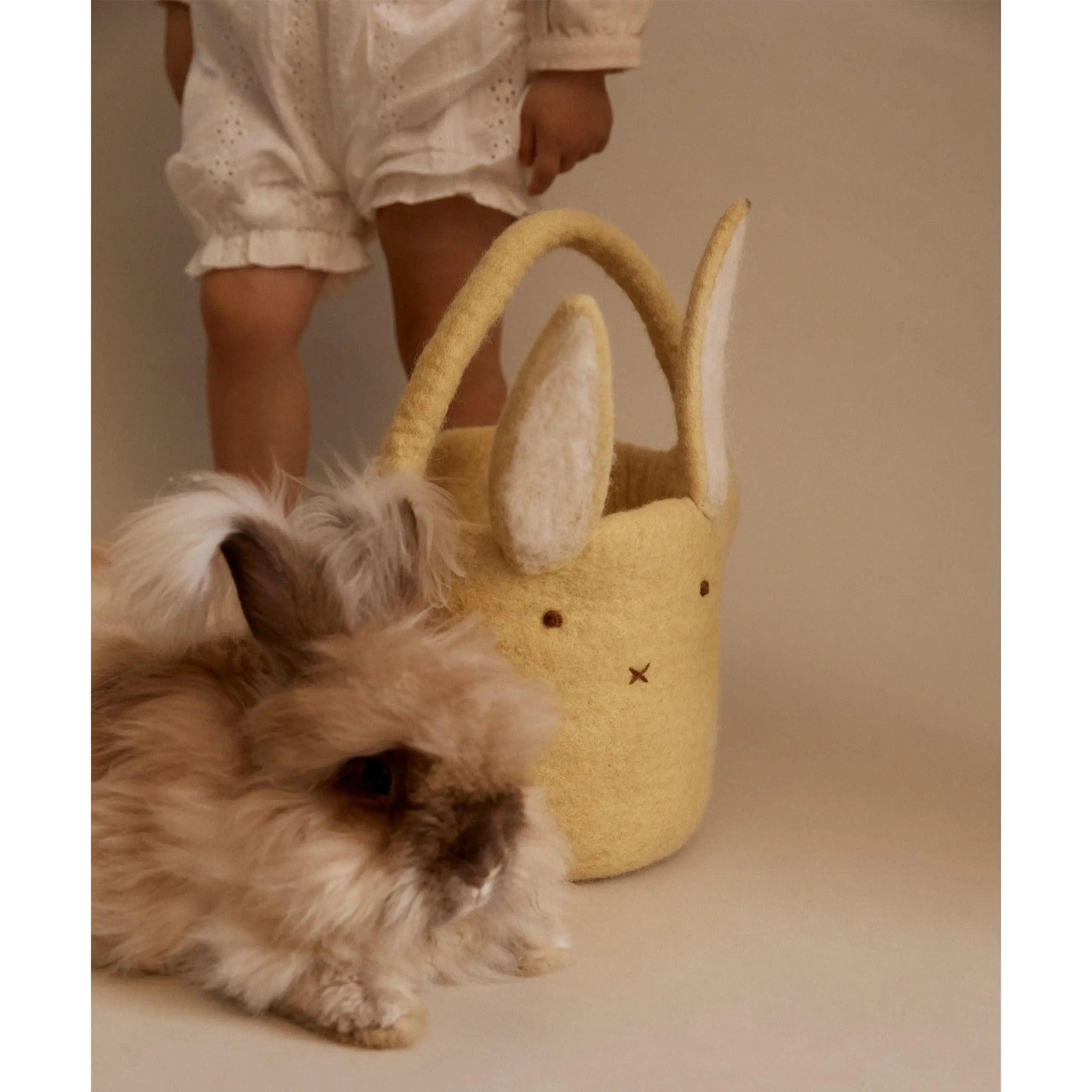 Easter Bunny Basket - Limone