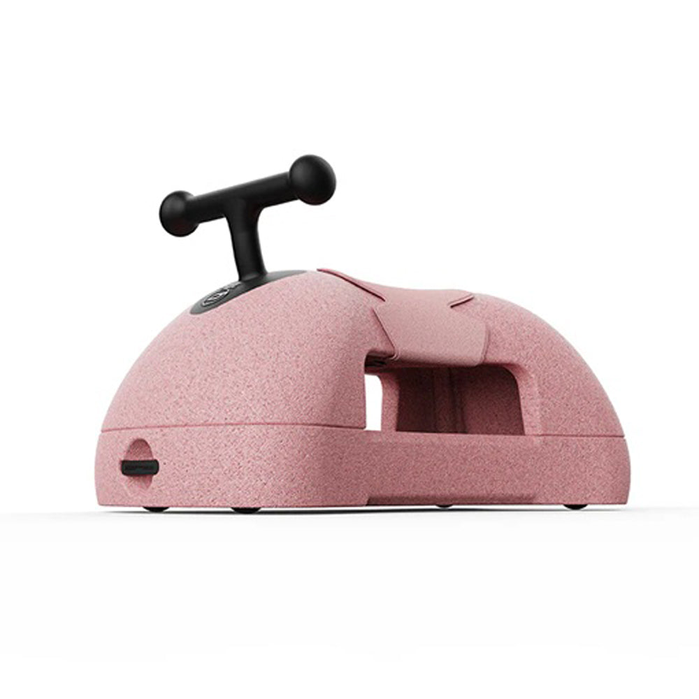 Scoot and Ride My First Scooter