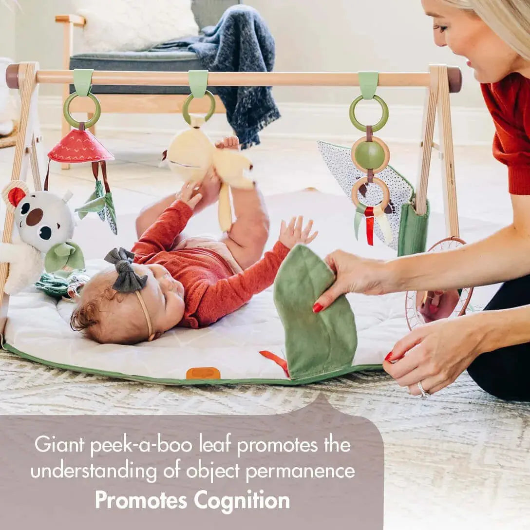 Tiny Love Boho Chic Luxe Gymini  