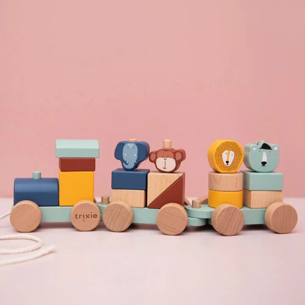 Wooden animal train