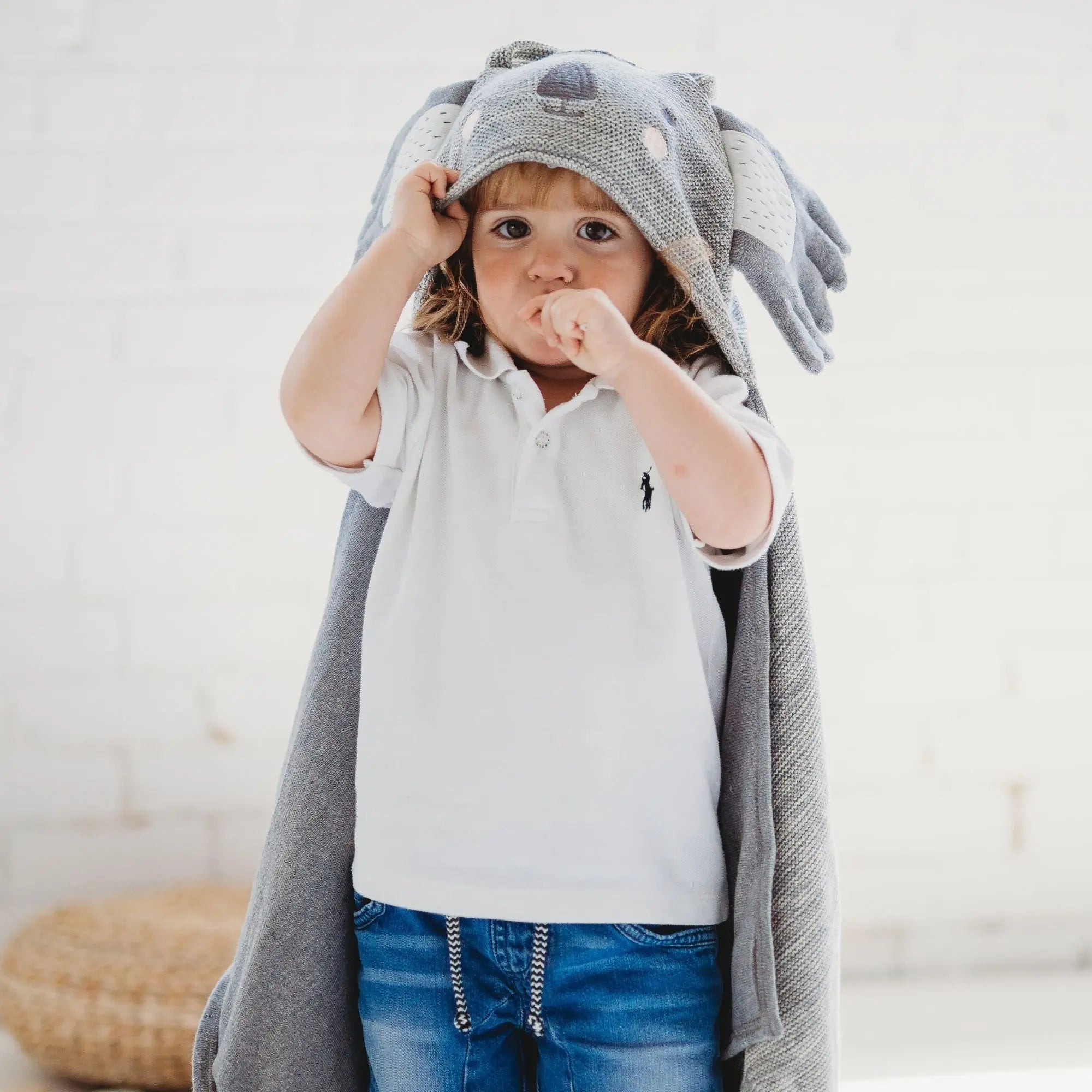 Di Lusso Living Clancy Koala Travel Blanket-Di Lusso-Baby Little Planet