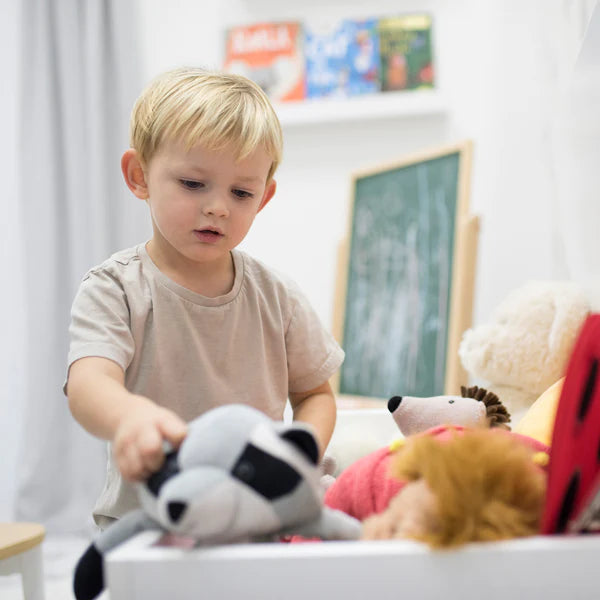 Boori Toy Box