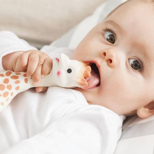 Sophie The Giraffe-Feeding - Teether-Sophie | Baby Little Planet