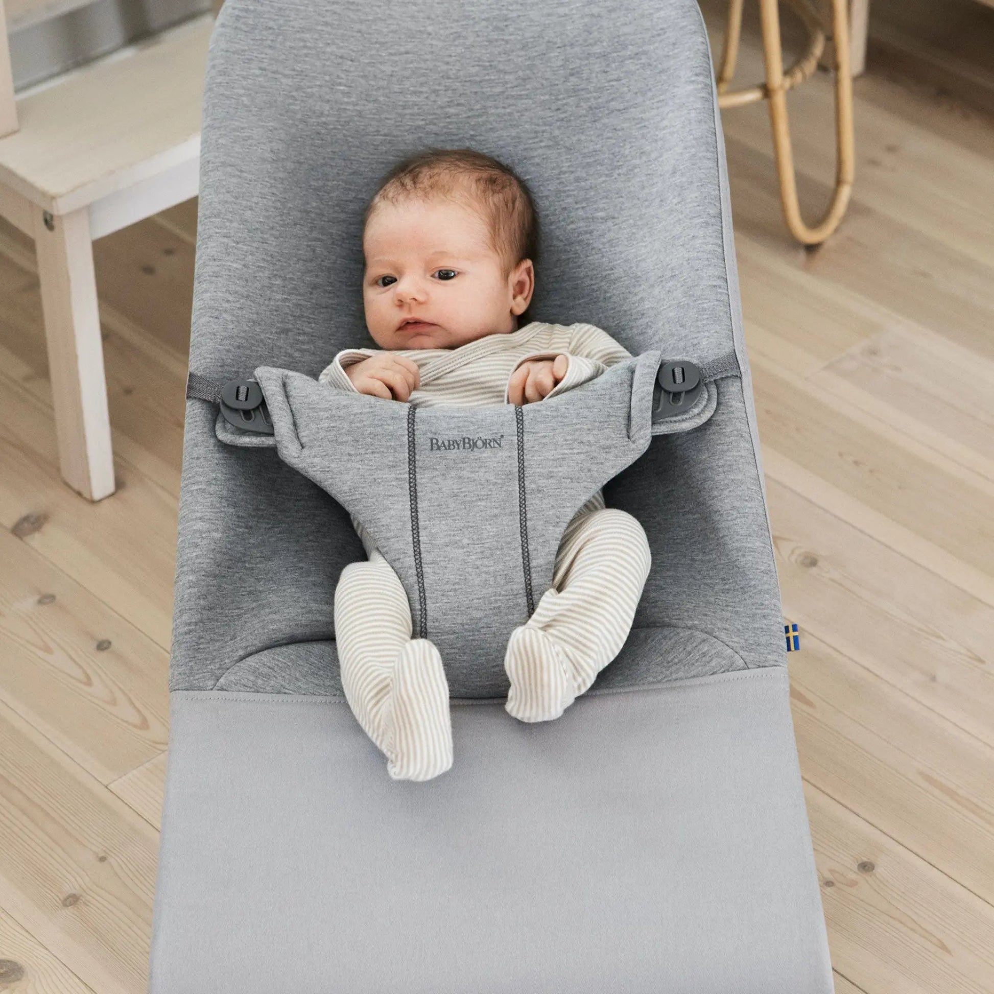 BabyBjorn Bouncer Bliss 3D Jersey Babybjorn