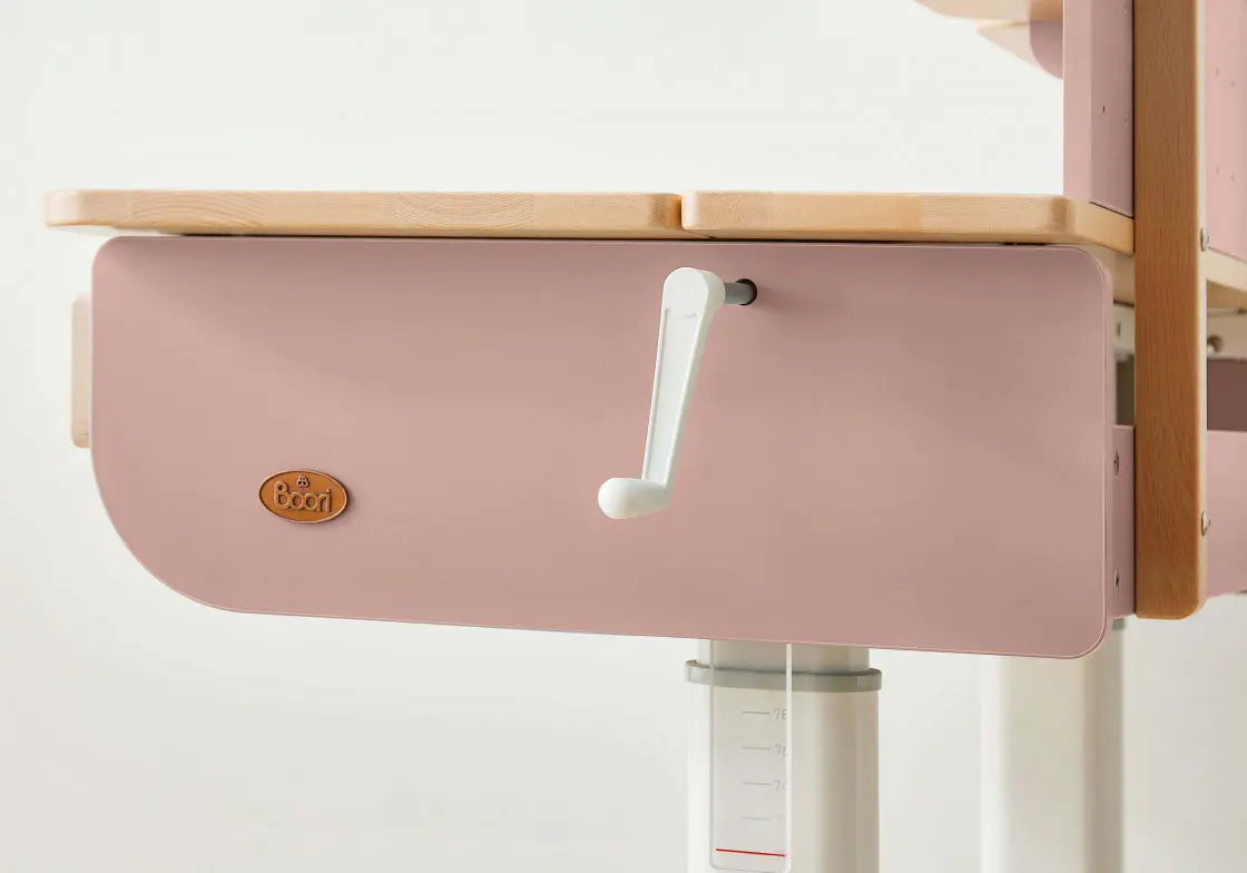 Boori Ergonomic Desk