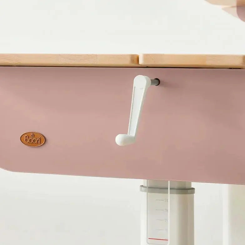 Boori Ergonomic Desk