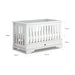 Boori Eton Convertible Plus Cot-Nursery Furniture - Cots-Baby Little Planet