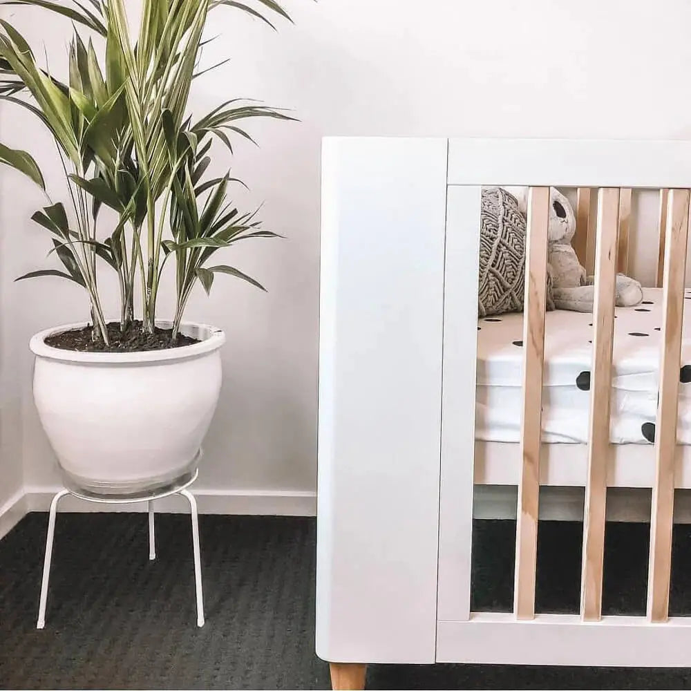 Cocoon Evoke 4 in 1 Cot + Mattress  